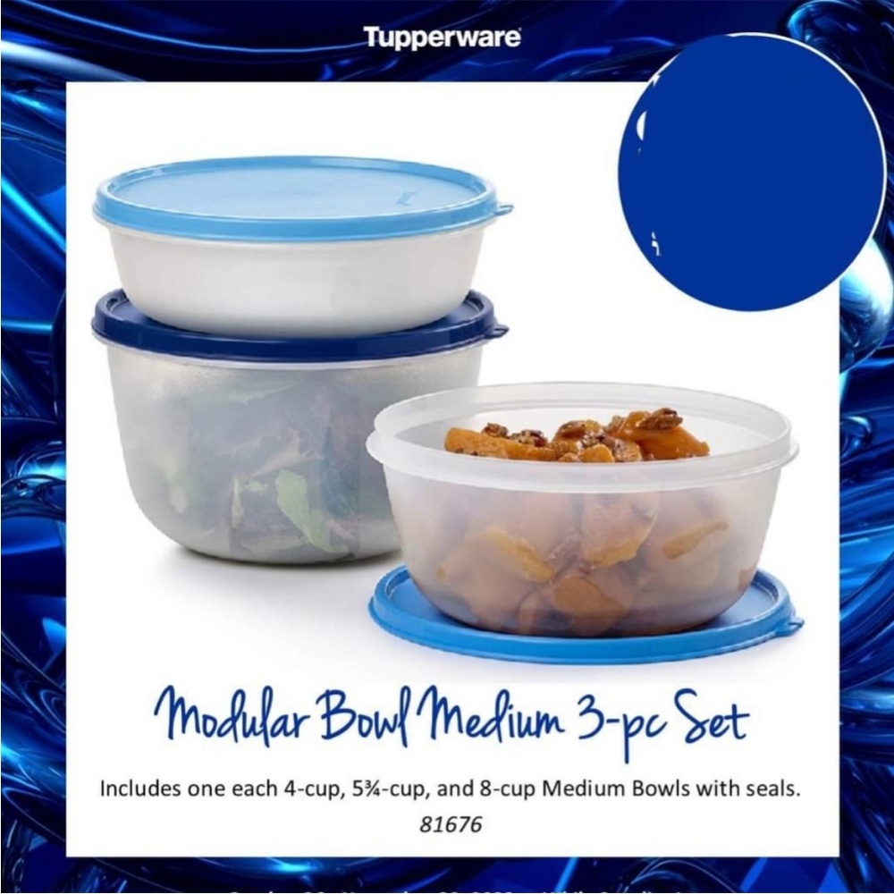 Tupperware Blue & White 3 pc medium modular Bowl Set